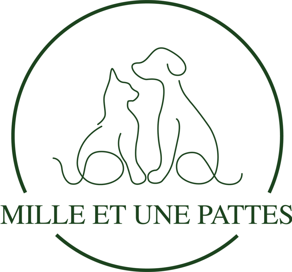 Mille et une pattes votre commerce animalier proche de chez vous