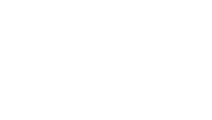 Vetocanis